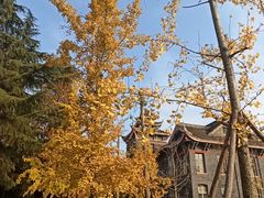 -四川大学(华西校区)