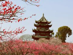 -上海海湾国家森林公园