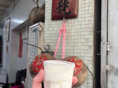 -洪馨椰子