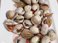 血蛤-华盛丰温州大排档(东三环南路店)