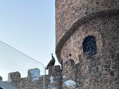 -J Create城市露营咖啡·简餐·宠物(上海动物园店)