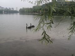 -河北省园博园