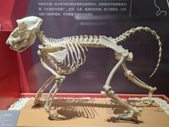 -国家自然博物馆