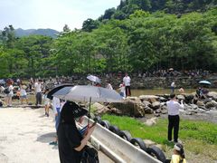 -大余丫山旅游度假区