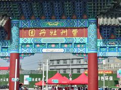 -曹州牡丹园