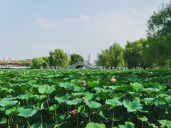 -长春市南湖公园