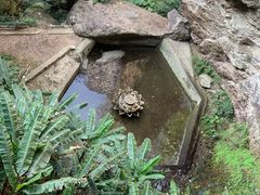 -东南悬空寺方广岩