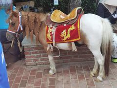 -渔岛海洋度假区