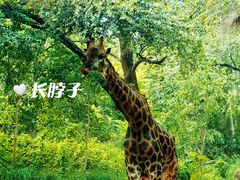 -北京野生动物园