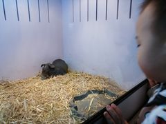 -昆明大悦城未来动物城(螺蛳湾中心店)