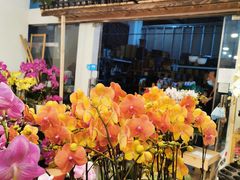 -双季花艺园艺市场(浦东店)