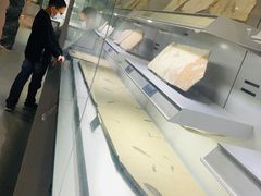 -中国地质大学逸夫博物馆