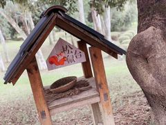 -福建鲤鱼洲酒店