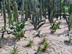 -东莞植物园