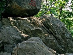 android_upload_pic-凤凰欢乐谷