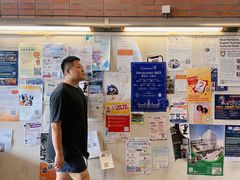 -香港大学