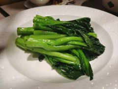 清炒菜心-尚一汤·粤菜海鲜(环球港店)