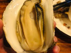 -土蚝·高压锅生蚝(百姓美食街店)