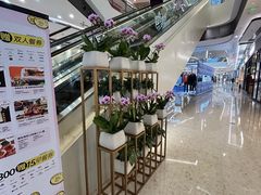 -合景·悠方(成都店)
