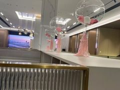 -点石家装(总部旗舰店)