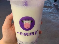 -一只酸奶牛(八一路店)