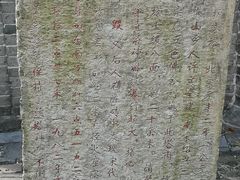 -上海佘山国家森林公园天马山园