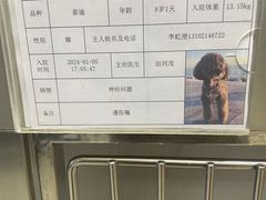 -北京派仕佳德动物医院·超导核磁·CT·神经科·骨科·内外科·急重症管理中心