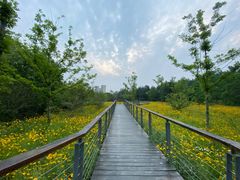 -昆山城市生态森林公园