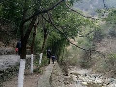 -宁波五龙潭景区