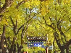 -北京国子监胡同