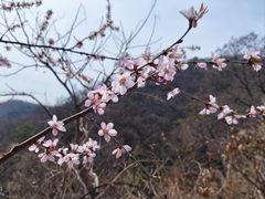 -天津盘山风景名胜区