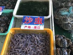 -十四涌水产中心