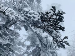 -西岭雪山大飞水景区