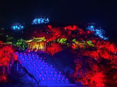 -印象普陀