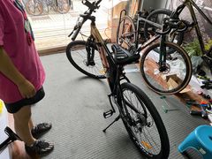 -道路口单车爱瓦士dahon大行