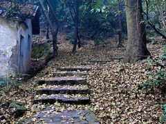 -岳麓山风景名胜区
