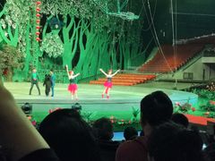 -灵玲国际马戏城