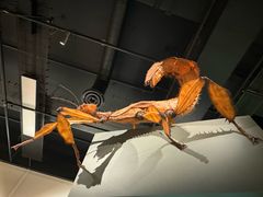 -墨尔本博物馆(Melbourne Museum)