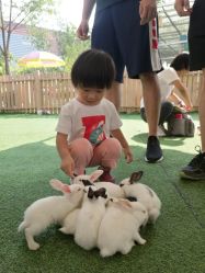 -萌宠亲子动物乐园(槐房万达店)