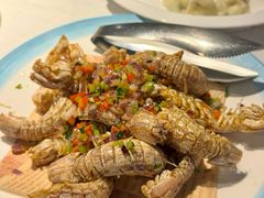 -开海·红岛海鲜虾水饺(石老人店)
