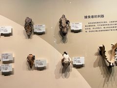 -天津自然博物馆