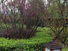 -庐山天沐温泉度假村