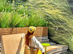 -龙湖重庆时代天街