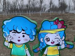 -天津东丽湖风景区