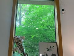 -COTTON CAFE(德信·中外公寓店)