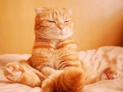 -荣誉国际酒店-云顶旋转餐厅