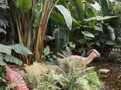 -沈阳植物园