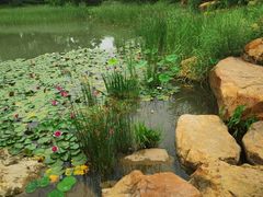 -中关村生命科学园