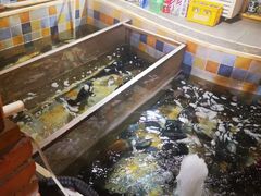 -缘福乡村铁锅炖民宿(八达岭店)