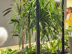 -THE WOODS 简餐 (国贸商城店)